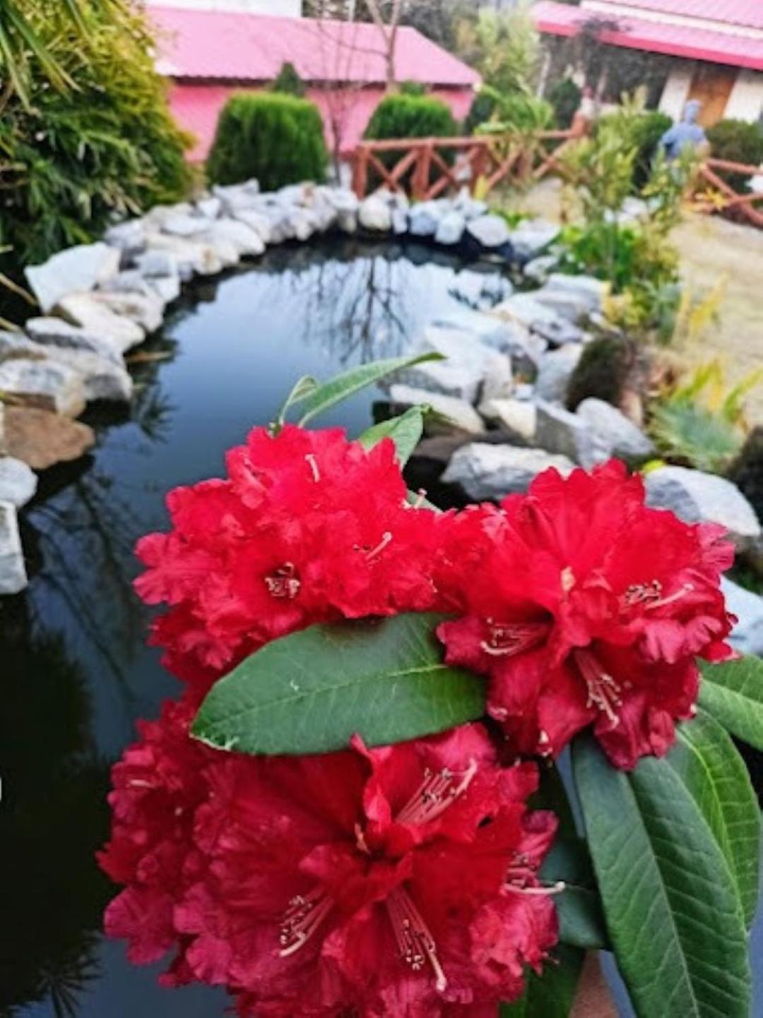 The Village Retreat Resort , Guptkashi Gupta Kāshi Esterno foto